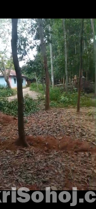 জায়গা বিক্রি